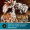 Show in main carousel: Formula of Champions 22% Protein Pellet Fancy & Feathered Show Chicken Feed, 50-lb bag slide 6 of 9