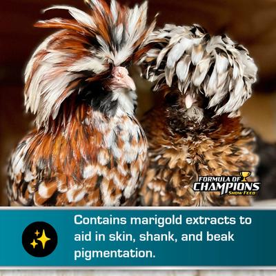 Show full view: Formula of Champions 22% Protein Pellet Fancy & Feathered Show Chicken Feed, 50-lb bag slide 6 of 9
