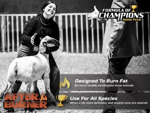 Show full view: Formula of Champions Afterburner Topdress Show Livestock Feed, 20-lb bucket slide 4 of 5
