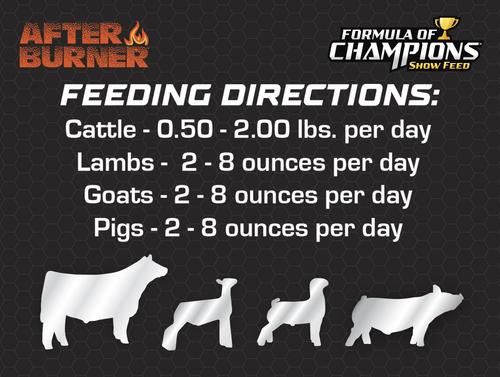 Show full view: Formula of Champions Afterburner Topdress Show Livestock Feed, 20-lb bucket slide 5 of 5