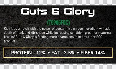 Show full view: Formula of Champions Guts & Glory Show Cattle Feed, 50-lb bag slide 2 of 4