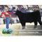 Show in main carousel: Formula of Champions Hair Magic Plus Show Livestock Hair Supplement, 30-lb bucket slide 4 of 6