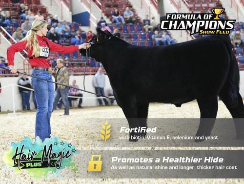 Show full view: Formula of Champions Hair Magic Plus Show Livestock Hair Supplement, 30-lb bucket slide 4 of 6