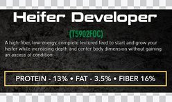 Formula of Champions Heifer Developer Show Cattle Feed, 50-lb bag slide 2 of 4