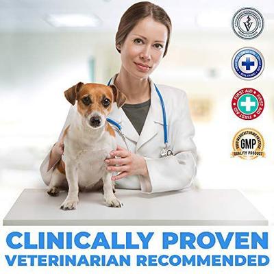 Show full view: Forticept Blue Butter Hot Spot Cat & Dog Wound & Skin Care Ointment, 2-oz tube slide 5 of 6