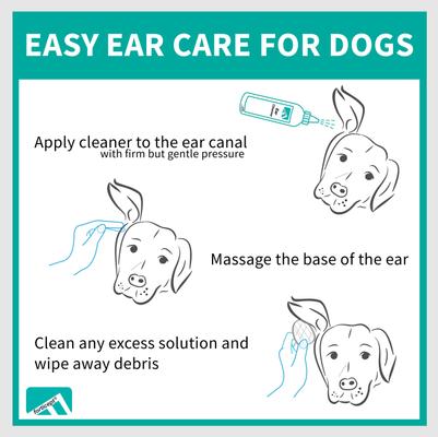 Show full view: Forticept Yeast Ear Infection & Itch Relief Cat & Dog Ear Wash Cleaner, 8-oz tube slide 5 of 8