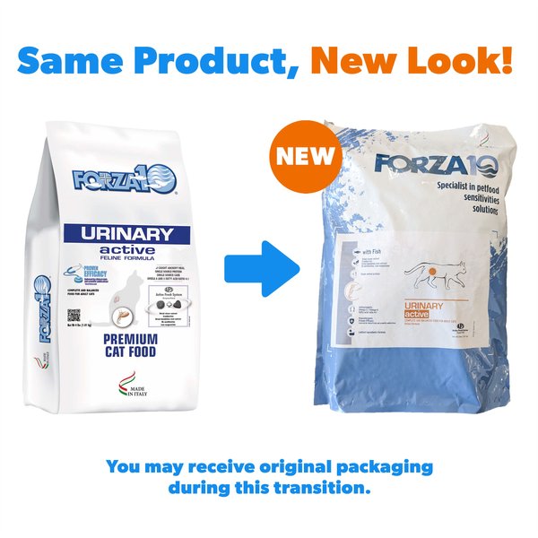 FORZA10 Nutraceutic Active Urinary Dry Cat Food, 4-lb bag - Chewy.com