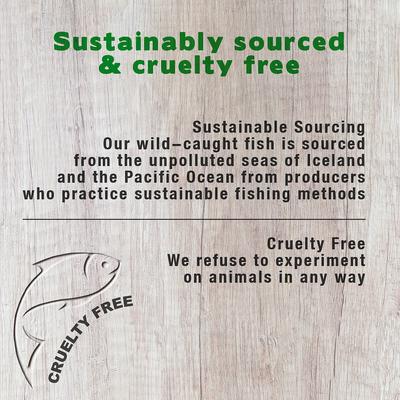 Show full view: Forza10 Nutraceutic Legend Skin Grain-Free Wild Caught Anchovy Dry Dog Food, 15-lb bag slide 6 of 9