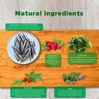 Show full view: Forza10 Nutraceutic Legend Skin Grain-Free Wild Caught Anchovy Dry Dog Food, 25-lb bag slide 7 of 9