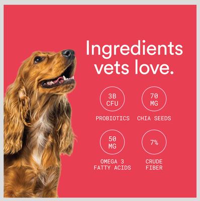 Show full view: Foster Digestive Support + Probiotics Banana & Apple Flavored Soft Chews Dog Supplement, 90 count slide 7 of 10