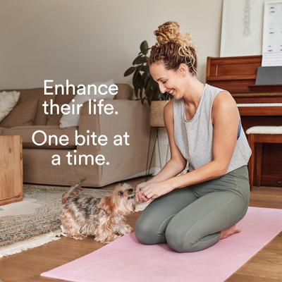 Show full view: Foster Digestive Support + Probiotics Banana & Apple Flavored Soft Chews Dog Supplement, 90 count slide 8 of 10