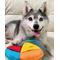 Show in main carousel: fouFIT Hide 'n Seek Disc Dog Toys, Multicolor slide 5 of 6