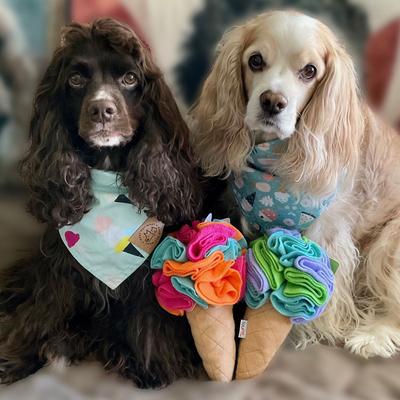 Show full view: fouFIT Hide 'n Seek Ice Cream Snuffle, Rainbow Sherbet Squeaky Dog Treat Dispenser Toy, Pink, Large slide 6 of 7