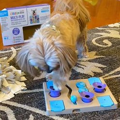 fouFIT Hide 'n Seek Multi-Play Busy Board Puzzle Dog Treat Dispenser Toy, Multicolor slide 2 of 7