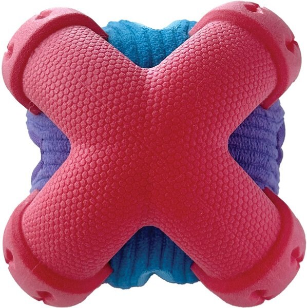 fouFIT Hide 'n Seek TPR Orbie Tough Squeaky Dog Treat Dispenser Toy, Red