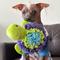 Show in main carousel: fouFIT Hide 'n Seek Under the Sea Snuffle, Turtle Squeaky Dog Treat Dispenser Toy, Green slide 6 of 7