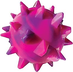 fouFIT TPR Bump'n Spike Tough Squeaky Dog Ball Toy, Pink