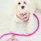 Show in main carousel: Found My Animal Adjustable Ombre Rope Dog Leash, Magenta, 7-ft, Large slide 5 of 10