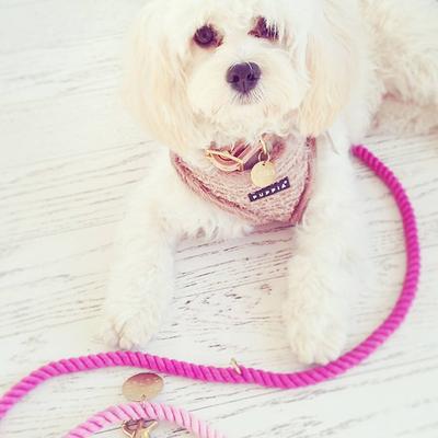 Show full view: Found My Animal Adjustable Ombre Rope Dog Leash, Magenta, 7-ft, Large slide 5 of 10