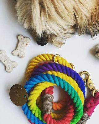 Show full view: Found My Animal Adjustable Ombre Rope Dog Leash, Rainbow, 7-ft, Large slide 5 of 11