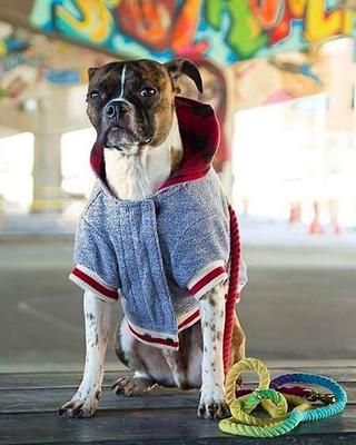 Show full view: Found My Animal Adjustable Ombre Rope Dog Leash, Rainbow, 7-ft, Medium slide 6 of 11