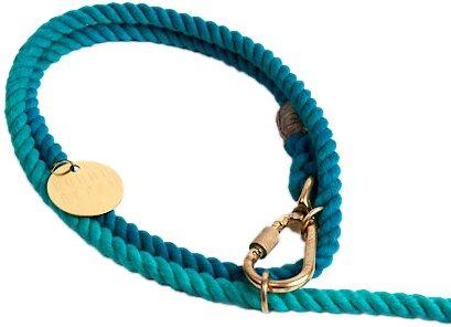 Show full view: Found My Animal Adjustable Ombre Rope Dog Leash, Teal, 7-ft, Large slide 3 of 9
