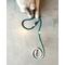 Show in main carousel: Found My Animal Adjustable Ombre Rope Dog Leash, Teal, 7-ft, Large slide 4 of 9
