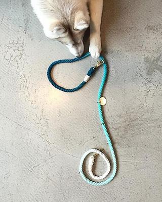 Show full view: Found My Animal Adjustable Ombre Rope Dog Leash, Teal, 7-ft, Large slide 4 of 9