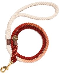 Found My Animal Standard Cotton Rope Dog Leash, Arizona, Medium: 5-ft long, 3/8-in wide