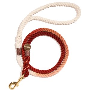 FOUND MY ANIMAL Standard Cotton Rope Dog Leash, Arizona, Medium: