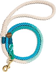 Found My Animal Standard Cotton Rope Dog Leash, Robins Egg Blue, Large: 5-ft long, 1/2-in wide