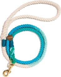 Found My Animal Standard Cotton Rope Dog Leash, Robins Egg Blue, Medium: 5-ft long, 3/8-in wide
