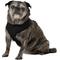 Show in main carousel: Four Paws Comfort Control Dog Harness, Black, Large slide 4 of 13