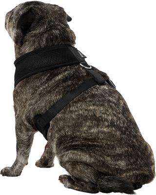 Show full view: Four Paws Comfort Control Dog Harness, Black, Large slide 5 of 13