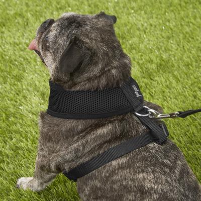 Show full view: Four Paws Comfort Control Dog Harness, Black, Large slide 7 of 13