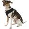 Show in main carousel: Four Paws Comfort Control Dog Harness, Black, Medium slide 3 of 12