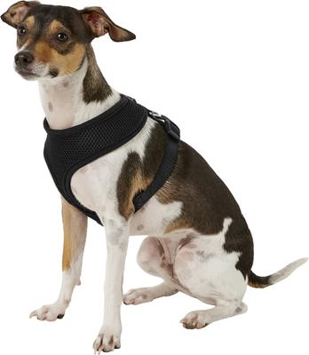 Show full view: Four Paws Comfort Control Dog Harness, Black, Medium slide 3 of 12