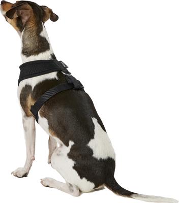 Show full view: Four Paws Comfort Control Dog Harness, Black, Medium slide 4 of 12