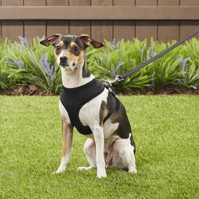 Show full view: Four Paws Comfort Control Dog Harness, Black, Medium slide 5 of 12