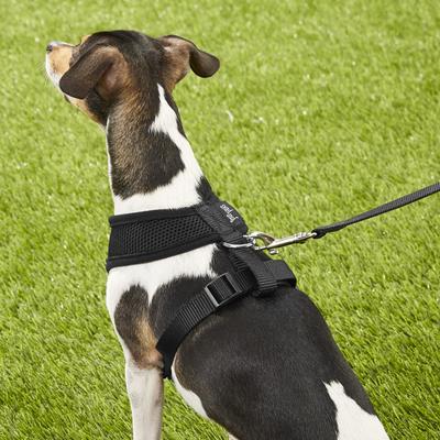 Show full view: Four Paws Comfort Control Dog Harness, Black, Medium slide 6 of 12
