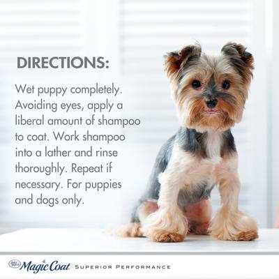 Show full view: Four Paws Magic Coat Gentle Tearless with Aloe Vera Puppy Shampoo, 16-fl oz bottle slide 5 of 12
