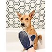 Show in main carousel: Four Paws Magic Coat Love Glove Grooming Mitt for Dogs slide 2 of 11