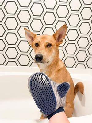 Show full view: Four Paws Magic Coat Love Glove Grooming Mitt for Dogs slide 2 of 11