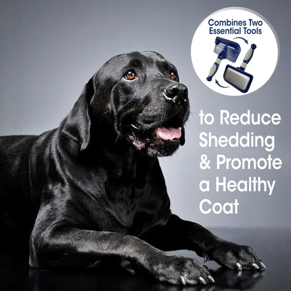 Show full view: Four Paws Magic Coat Professional Series 2-in-1 Dog Brush, Medium slide 5 of 8