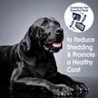 Show in main carousel: Four Paws Magic Coat Professional Series 2-in-1 Dog Brush, Medium slide 5 of 8