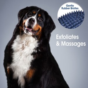 Four Paws Magic Coat Professional Series All-In-One Wet & Dry Dog Glove & Curry Brush