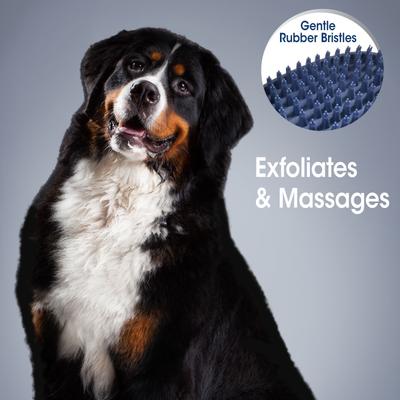 Show full view: Four Paws Magic Coat Professional Series All-In-One Wet & Dry Dog Glove & Curry Brush slide 5 of 12