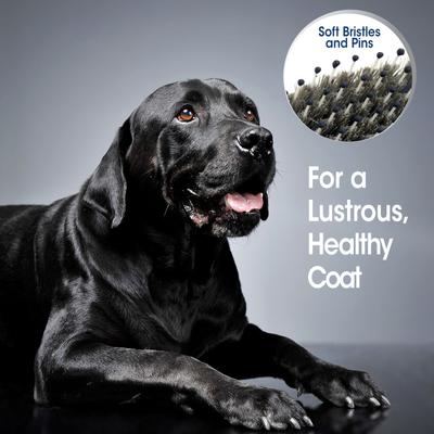 Show full view: Four Paws Magic Coat Professional Series Comfort & Contour Pin & Bristle Dog Brush slide 3 of 10