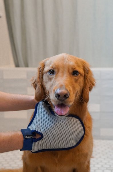 Show full view: Four Paws Magic Coat Professional Series Comfort Tips Deluxe Dog Grooming Glove slide 2 of 11