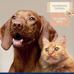 Four Paws Magic Coat Professional Series Dog & Cat Grooming Wipes, 100 count slide 2 of 8